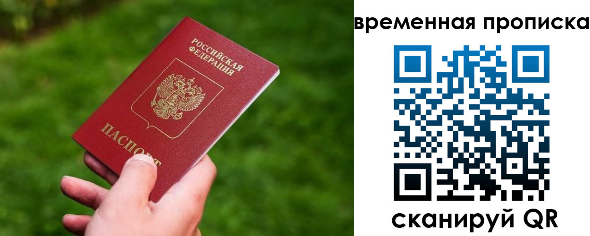 прописка ребенка в Заполярном